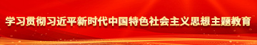 插阴网站视频免费学习贯彻习近平新时代中国特色社会主义思想主题教育